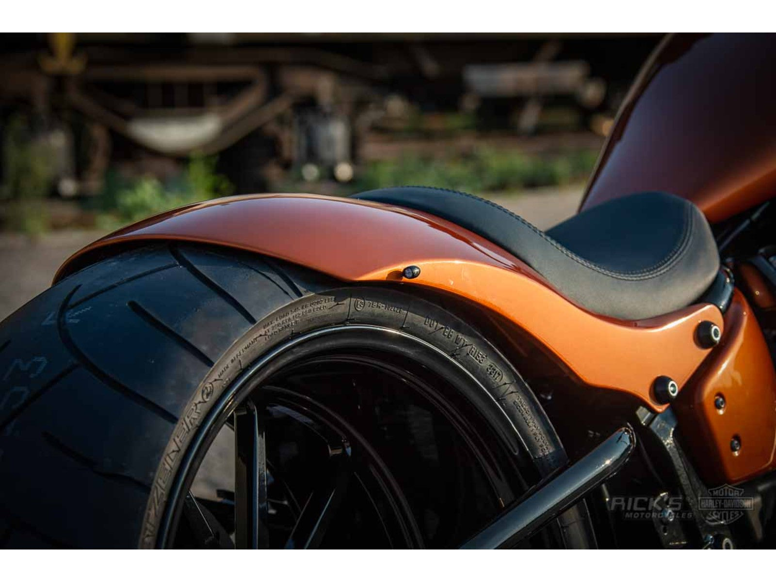 Kit Guardabarros Trasero Rick's 300 (para Softail desde 2018)
