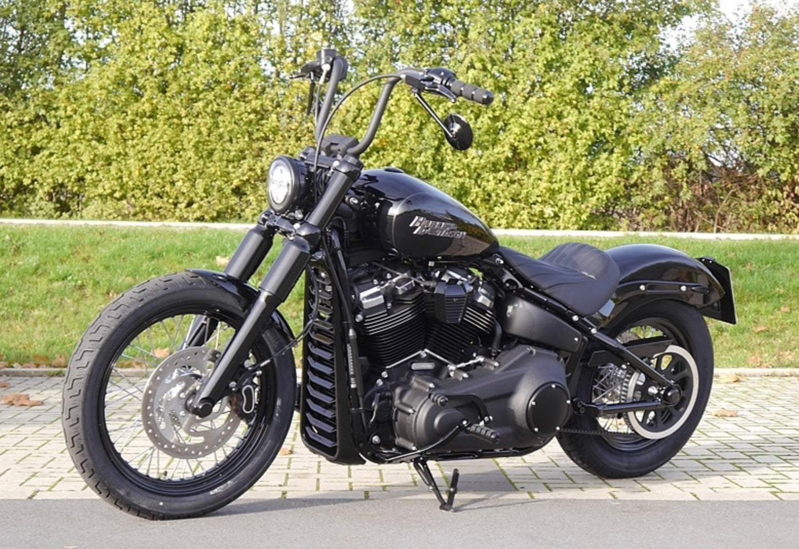 Radiator Cover V1 (for Softail from 18)