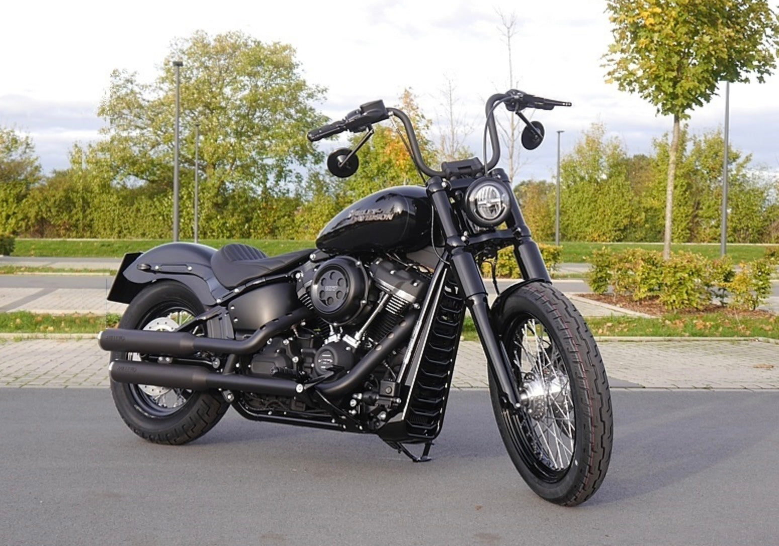 Radiator Cover V1 (for Softail from 18)