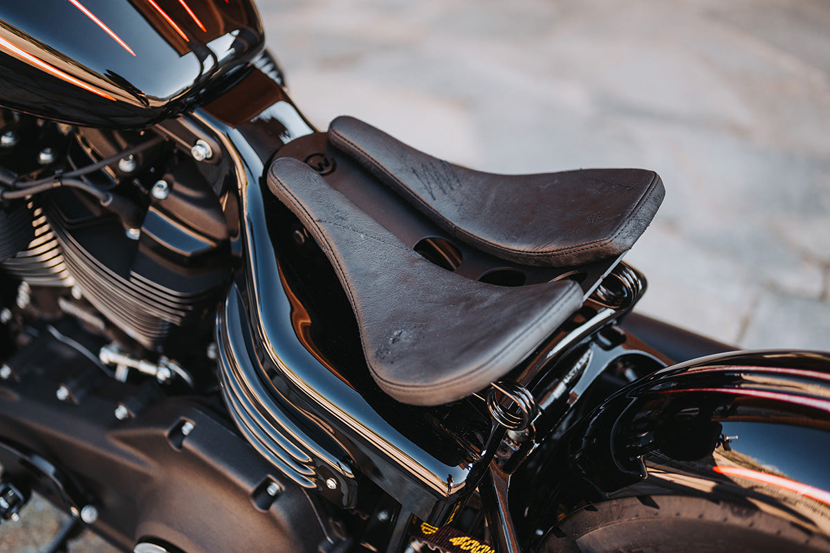 Cult-Werk Rahmenabdeckung (für Street Bob & Softail Standard ab 2018)