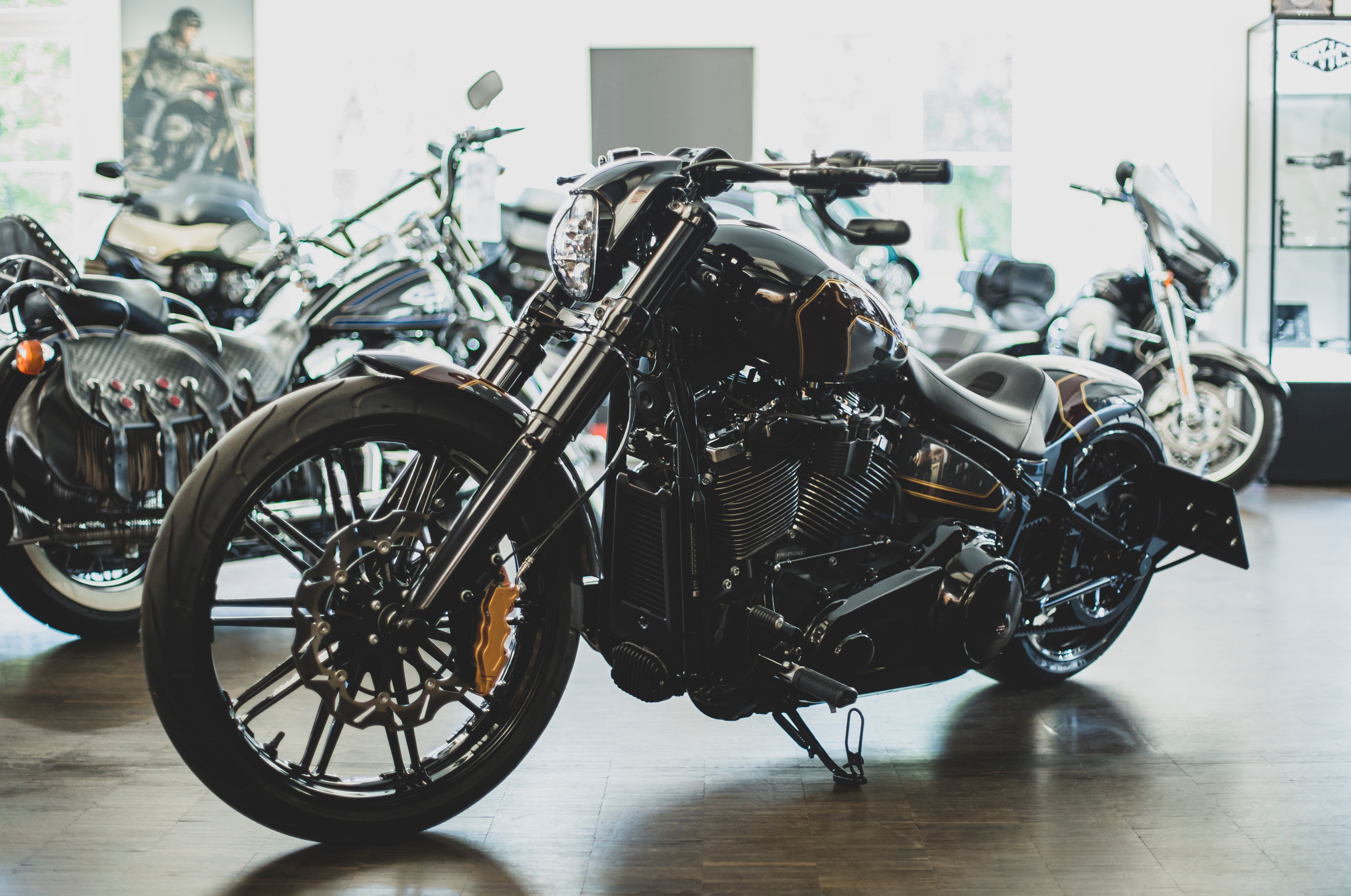 Protector de cinturón Iron Optics Fixi (para Softail desde 2018)